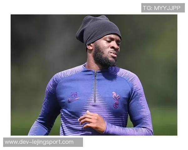 荷兰足球队长的领导魅力与战术智慧解析